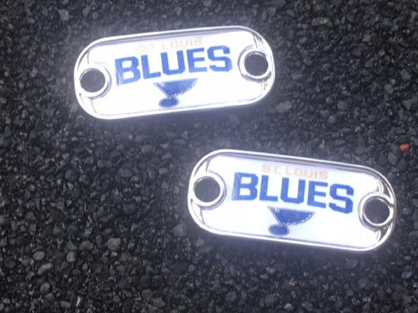 2 ~ St. Louis Blues NHL Charms Oval or Mini Dog Tag shoelace charms