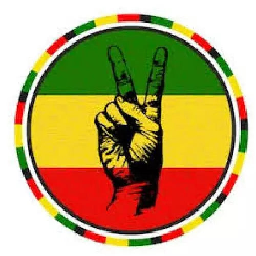 RASTA~Stylish 4-Color 550 Paracord Bracelet Bob Marley peace/love/happiness